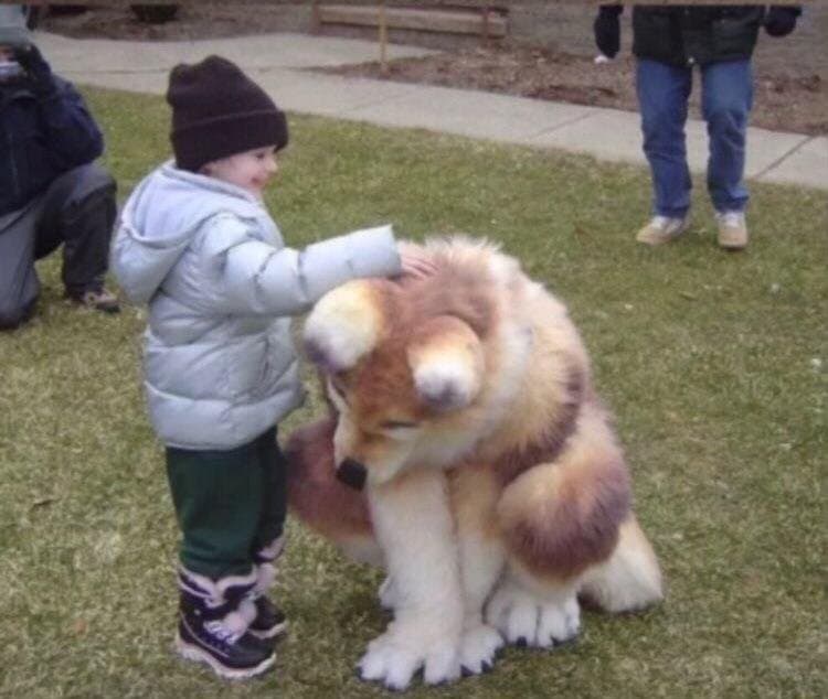 이해하면 무서운 짤 모음 관련 이미지 5