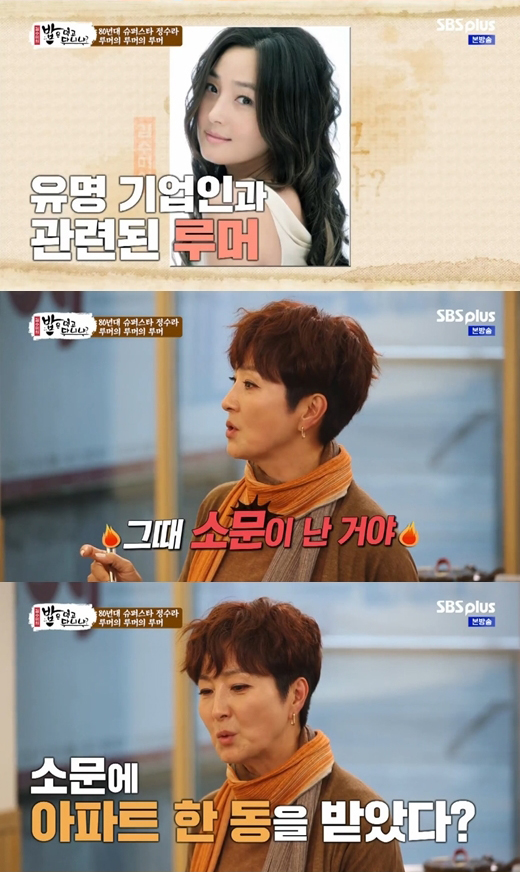 가수 정수라 이혼, 남편 사업자금 20억 빚 원정출산 루머 관련 이미지 3
