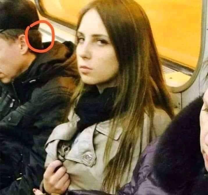 이해하면 무서운 짤 모음 관련 이미지 2