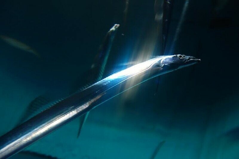 이해하면 무서운 사진 모음 관련 이미지 5