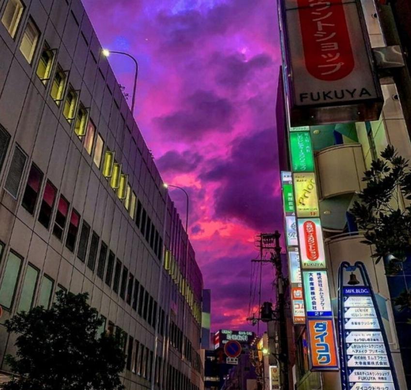 초강력 태풍 하기비스, 실시간 일본 피해 상황과 네티즌 반응 실시간 근황 관련 이미지 4