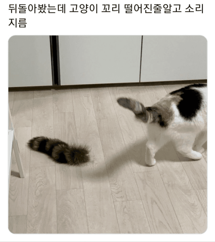 이해하면 무서운 사진들 관련 이미지 3