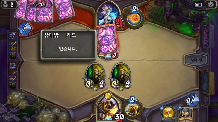 하스스톤 텍스트 오류 모음 관련 이미지 21