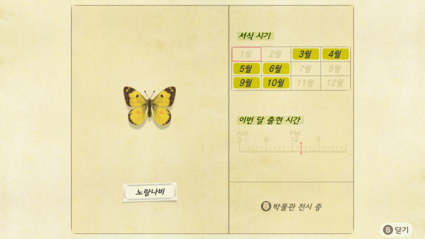 '모여봐요 동물의 숲' 곤충도감 정리 및 공략(1) 관련 이미지 3