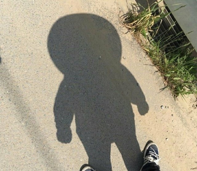 이해하면 무서운 사진 모음 관련 이미지 2
