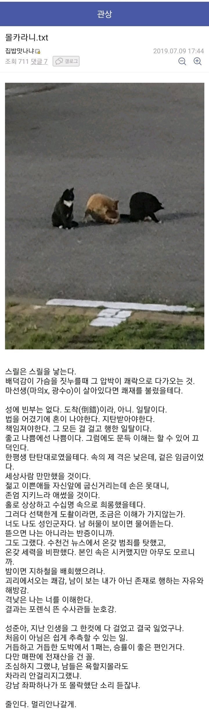 디시인사이드(DC) 고닉 조주빈, 관련 이미지 6