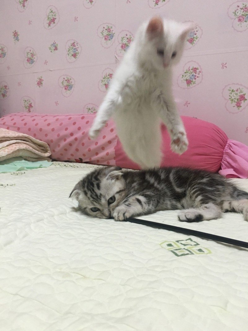 이해하면 무서운 사진 모음 관련 이미지 5