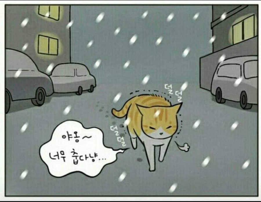 모닝노크 관련 이미지 1