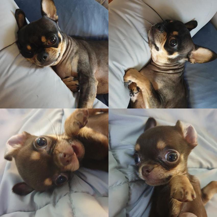 오늘자 벤 인스타 근황 관련 이미지 4