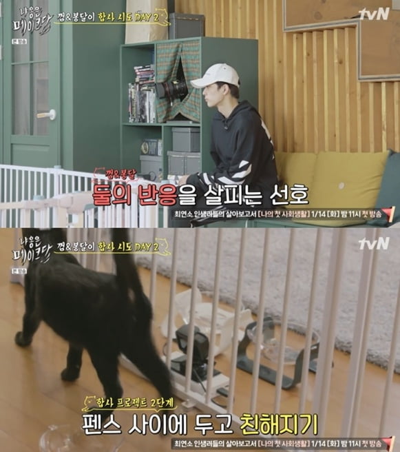 '냐옹은 페이크다', 입양 논란..공식 사과문(전문) 관련 이미지 2