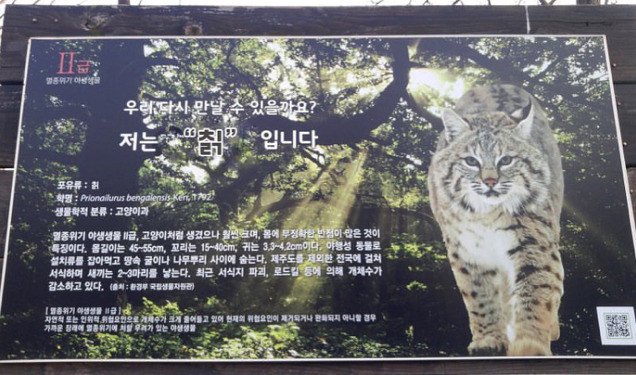 이해하면 무서운 사진 모음 관련 이미지 11