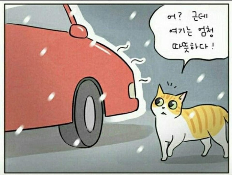 모닝노크 관련 이미지 3