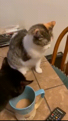 이해하면 무서운 짤 모음 관련 이미지 1