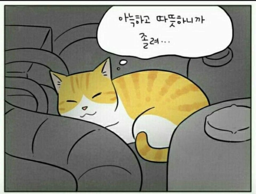 모닝노크 관련 이미지 6