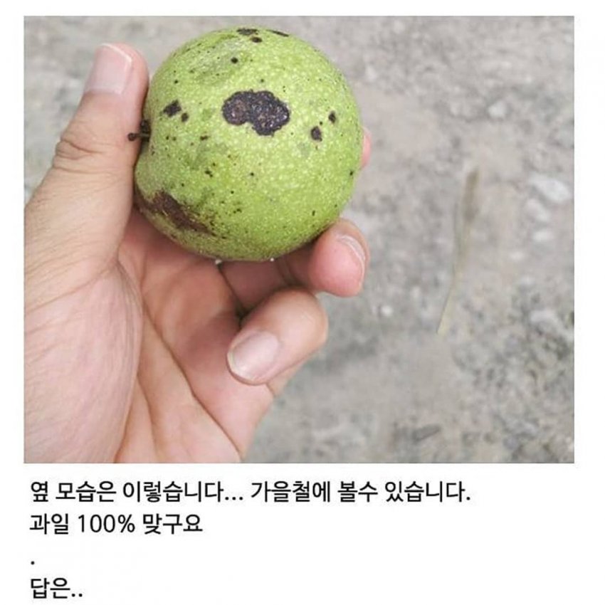 이해하면 무서운 사진 모음 관련 이미지 4