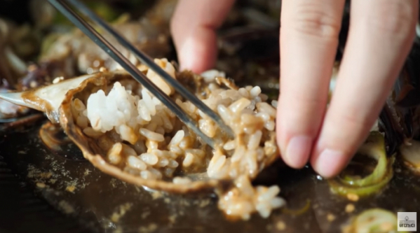 인기 유튜버 하얀트리, 관련 이미지 3