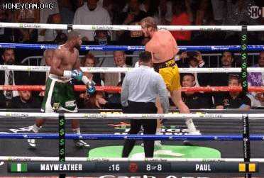 메이웨더 vs 로건폴, 관련 이미지 5