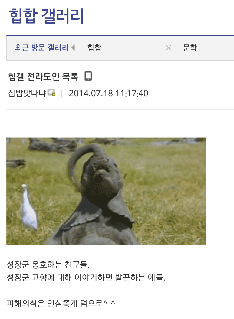 디시인사이드(DC) 고닉 조주빈, 관련 이미지 8