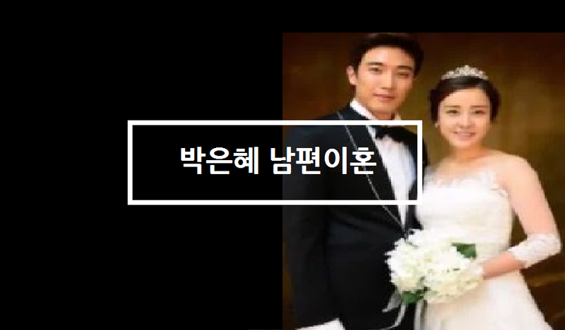 배우 박은혜 이혼, 남편 수백억 자산가? 이혼 이유 논란 관련 이미지 8