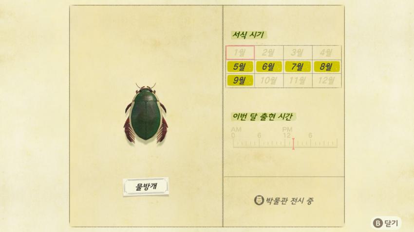 '모여봐요 동물의 숲' 곤충도감 정리 및 공략(2) 관련 이미지 15