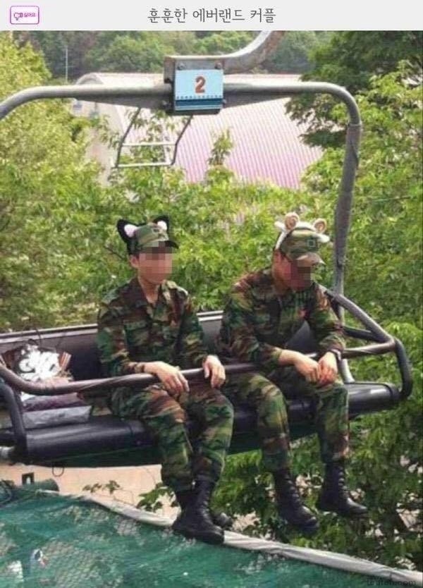 대한민국 역대 퓰리쳐상 모음 관련 이미지 19