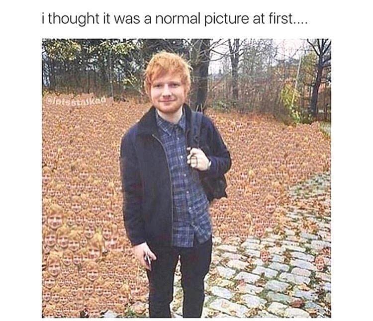 이해하면 무서운 짤 모음 관련 이미지 5