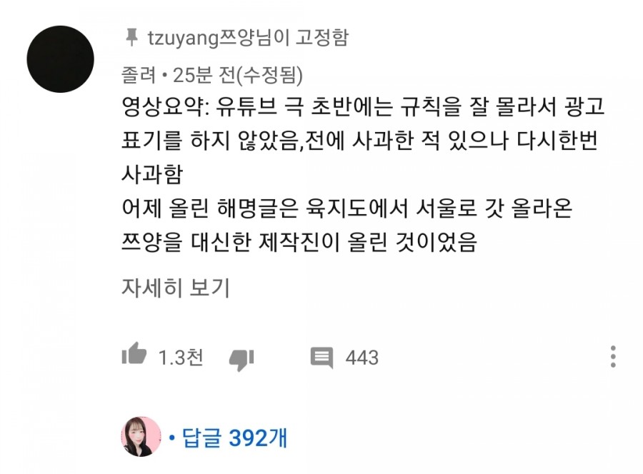 270만 유튜버 쯔양, 관련 이미지 16