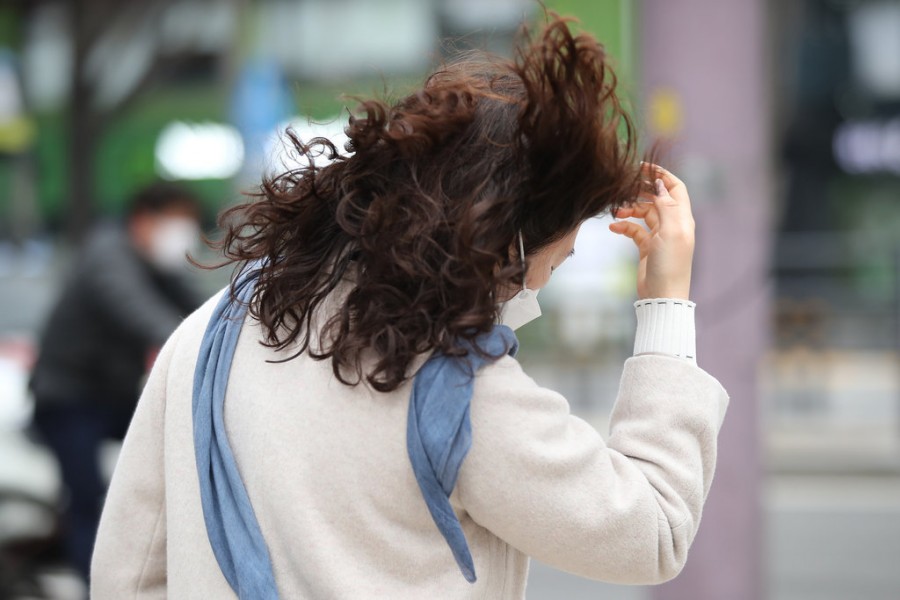강풍 주의보, 서울 관련 이미지 4
