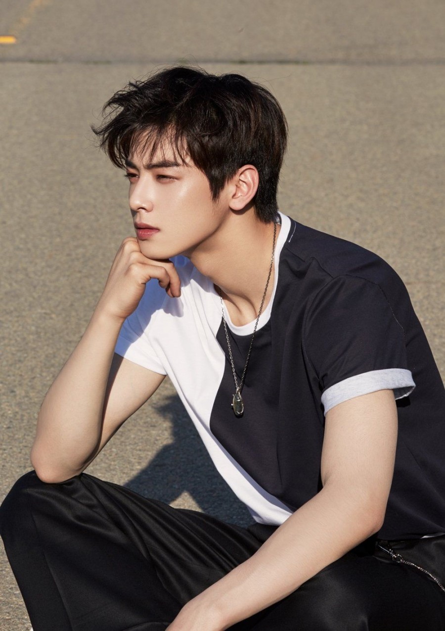 아스트로 차은우, 이태원 관련 이미지 2