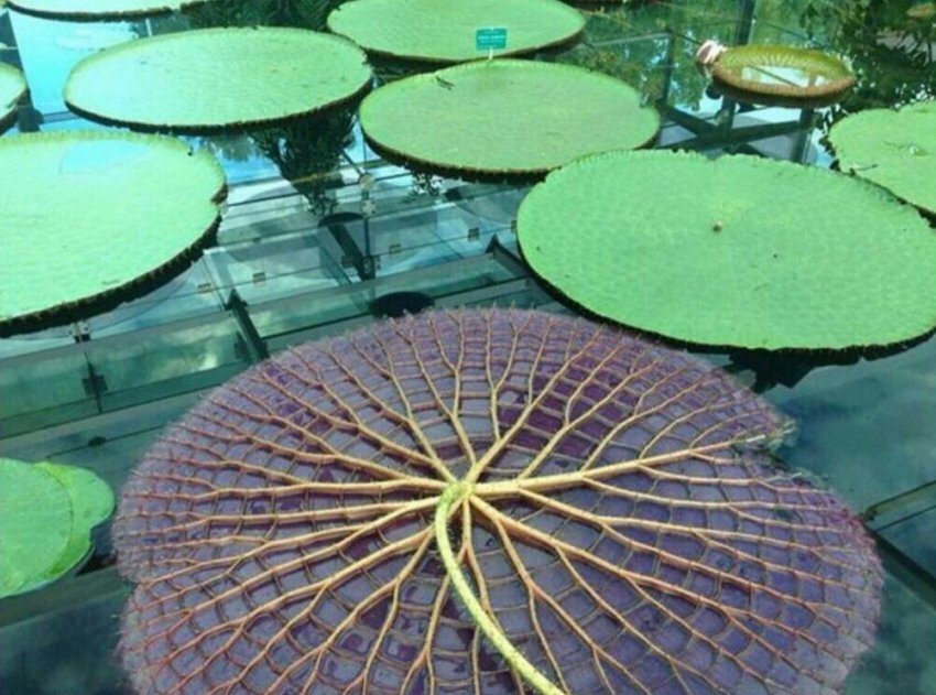 평소 보기 힘든것들 관련 이미지 3