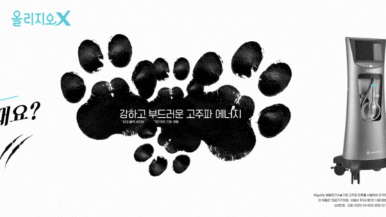 올리지오 X 효과, 기대와 다른 이유 관련 이미지 2