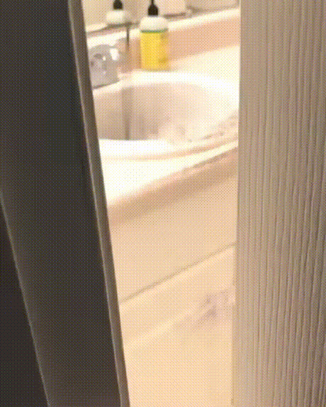 이해하면 무서운 사진 모음 관련 이미지 5