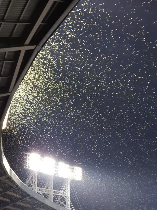 이해하면 무서운 사진 모음 관련 이미지 2