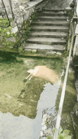 이해하면 무서운 사진 모음 관련 이미지 5