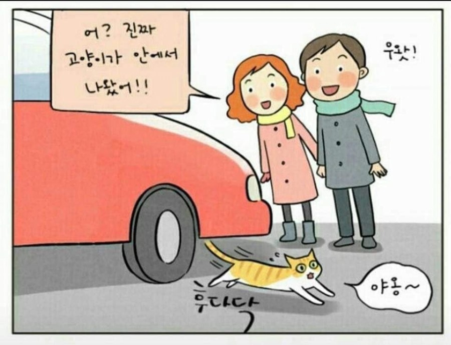 모닝노크 관련 이미지 9