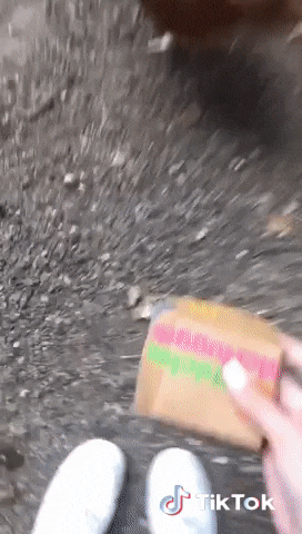 이해하면 무서운 사진 모음 관련 이미지 3