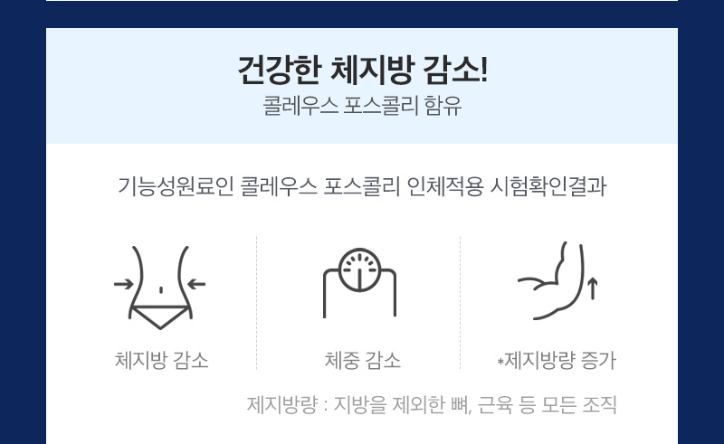 캐시슬라이드 V라인 대란템 세리번나이트 초성퀴즈 ㅈㄷㄱㅈ 정답 공개 관련 이미지 10