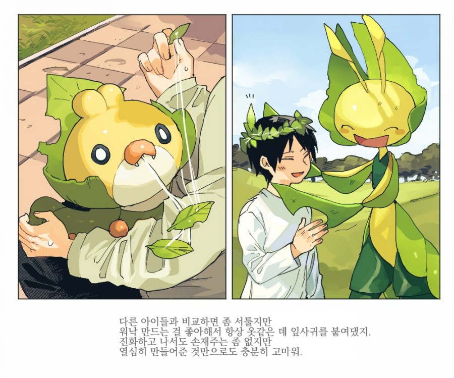 훈훈한 포켓몬스터 만화 모음 관련 이미지 19