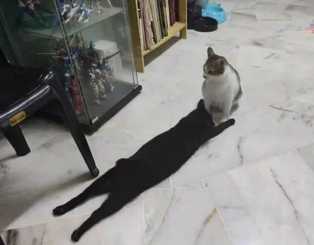 이해하면 무서운 사진 모음 관련 이미지 1