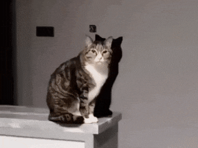 이해하면 무서운 사진 모음 관련 이미지 3