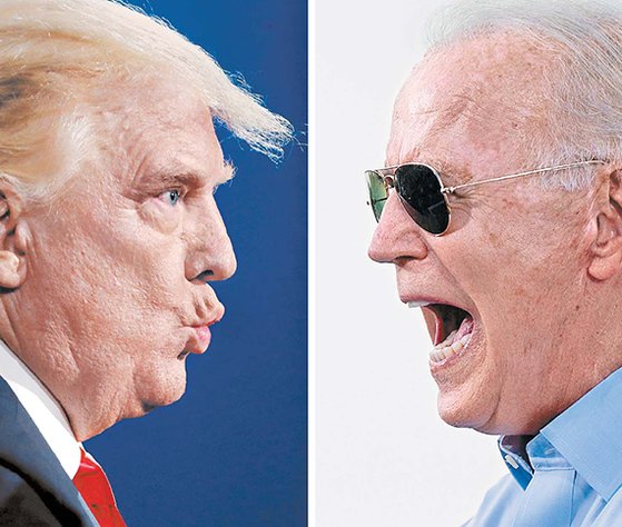 미대선, 트럼프VS바이든 후보 우세 지지 지역 정보 관련 이미지 2