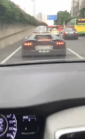 이해하면 무서운 사진 모음 관련 이미지 4