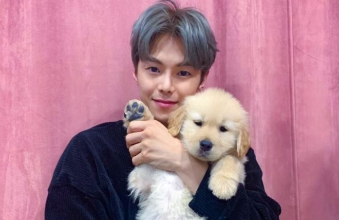 배우 박은석 강아지, 관련 이미지 2