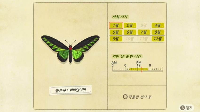 '모여봐요 동물의 숲' 곤충도감 정리 및 공략(1) 관련 이미지 12