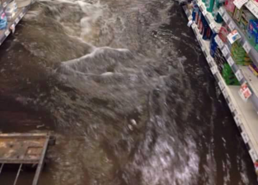 실시간 관련 이미지 14