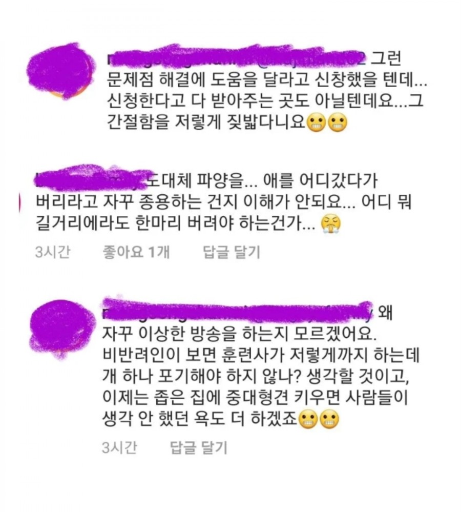 개는 훌룡하다, 강형욱 인스타 근황.. 관련 이미지 4