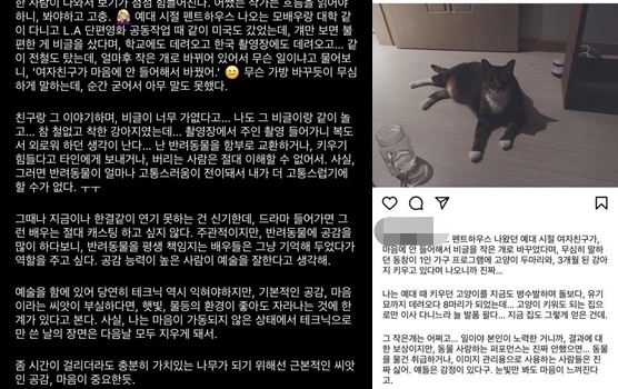 배우 박은석 강아지, 관련 이미지 3