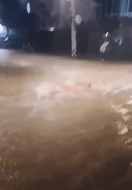 이해하면 무서운 짤 모음 관련 이미지 3