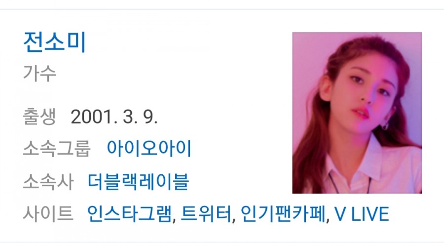 가수 전소미, 20살에 2억5000만원 관련 이미지 1