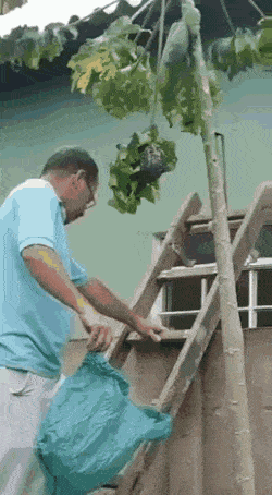 이해하면 무서운 사진 모음 관련 이미지 2